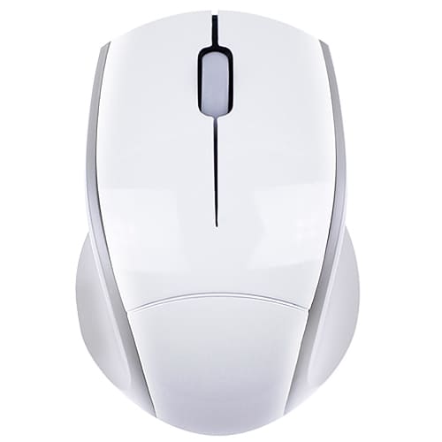 MOUSE-2img