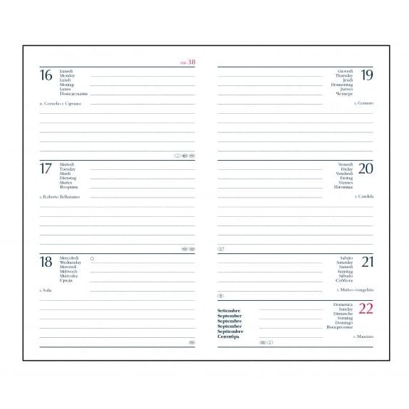 AGENDINA-PRINTFLEX-SETTIM.-8x15-2img